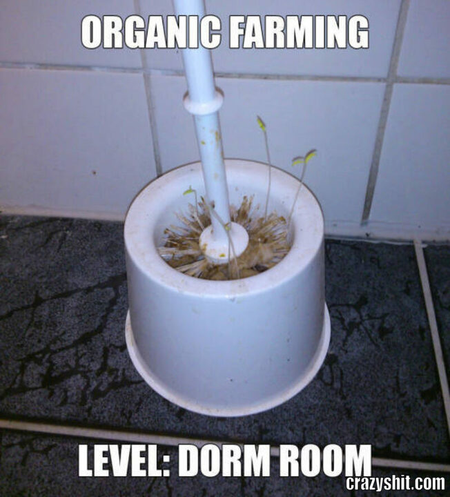 organic farming