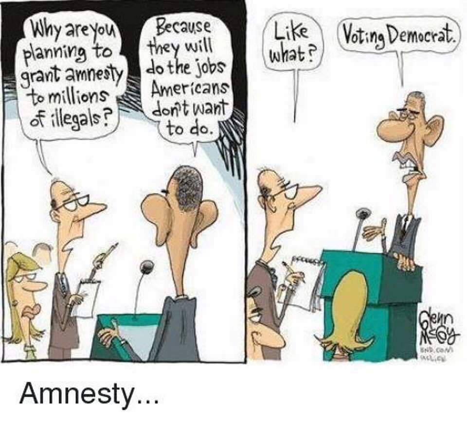 The REAL reason Democrats want MILLIONS of illegals in the USA.