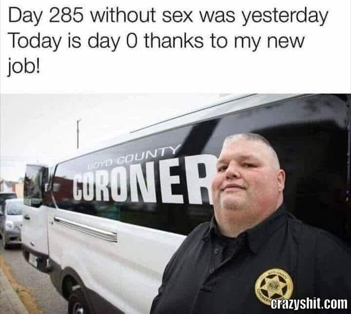 New Job