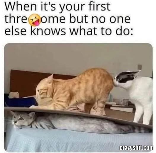 No Experience At All