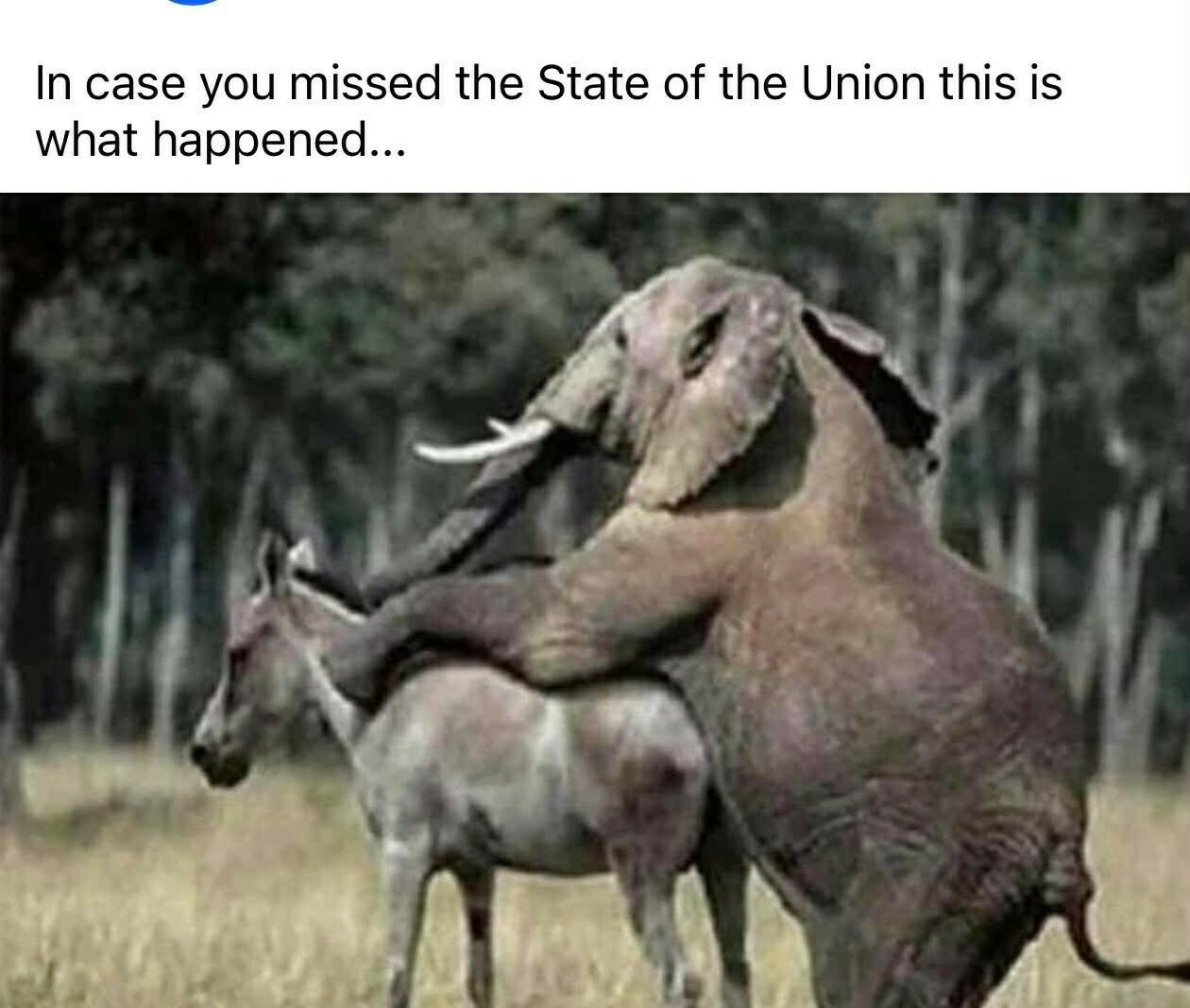 ICYMI