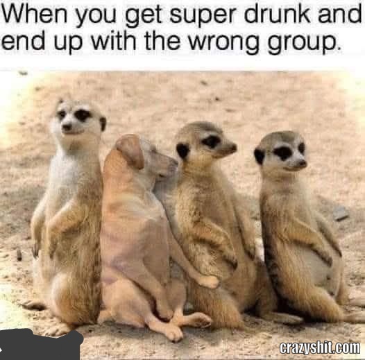 Not My Group