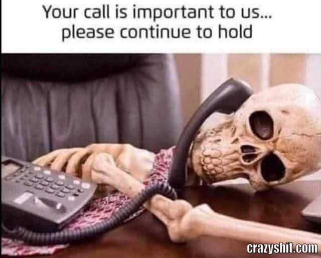 Please Hold