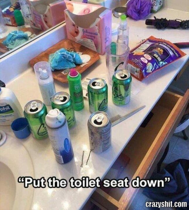 toilet