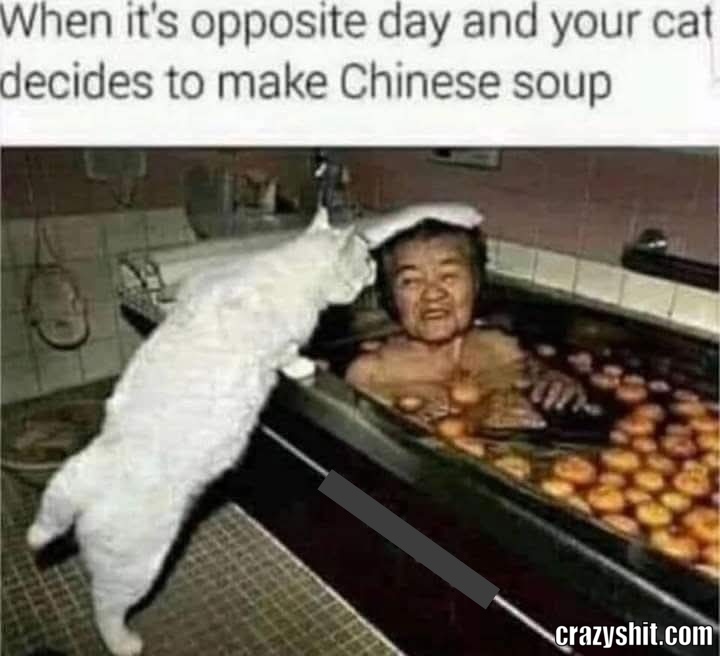 Cat's Revenge