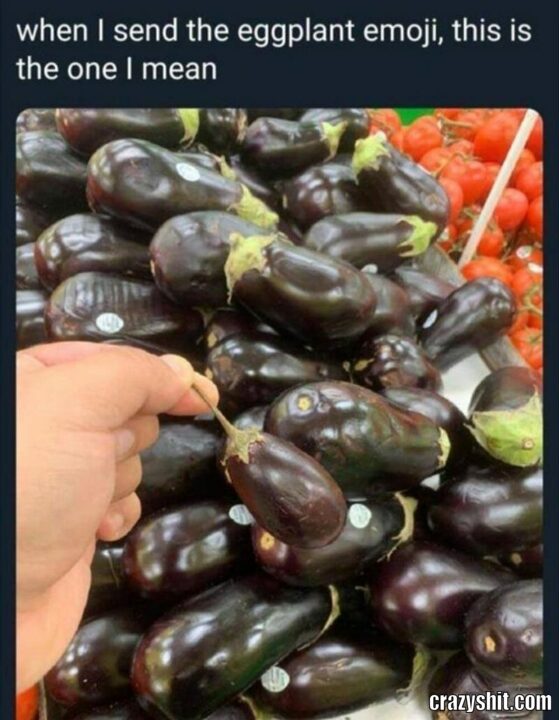 eggplant