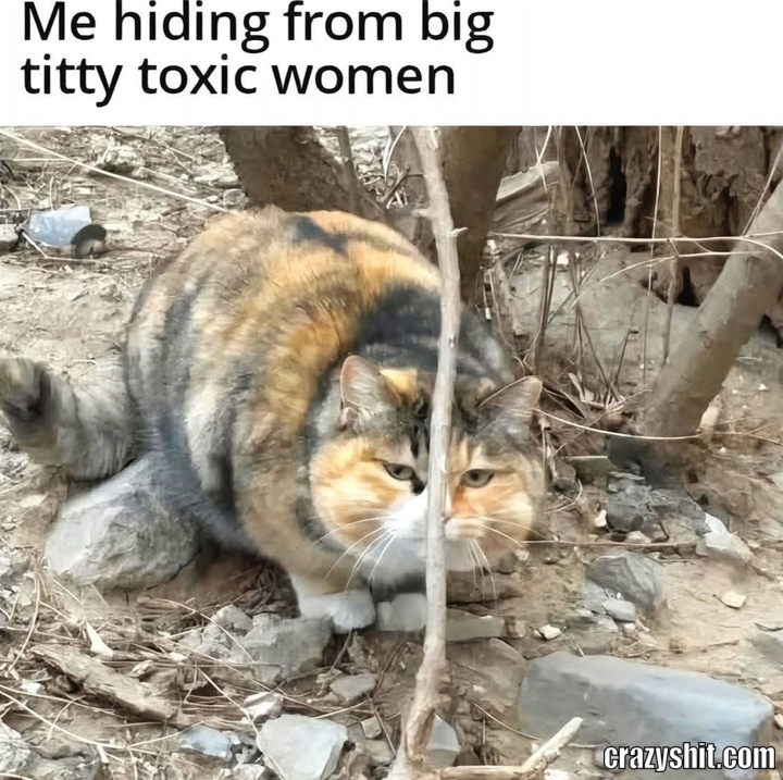 Try To Hide