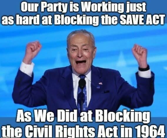 The Enlightened Dims