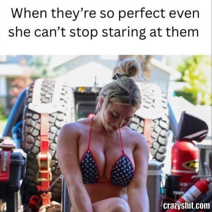Stare At Them