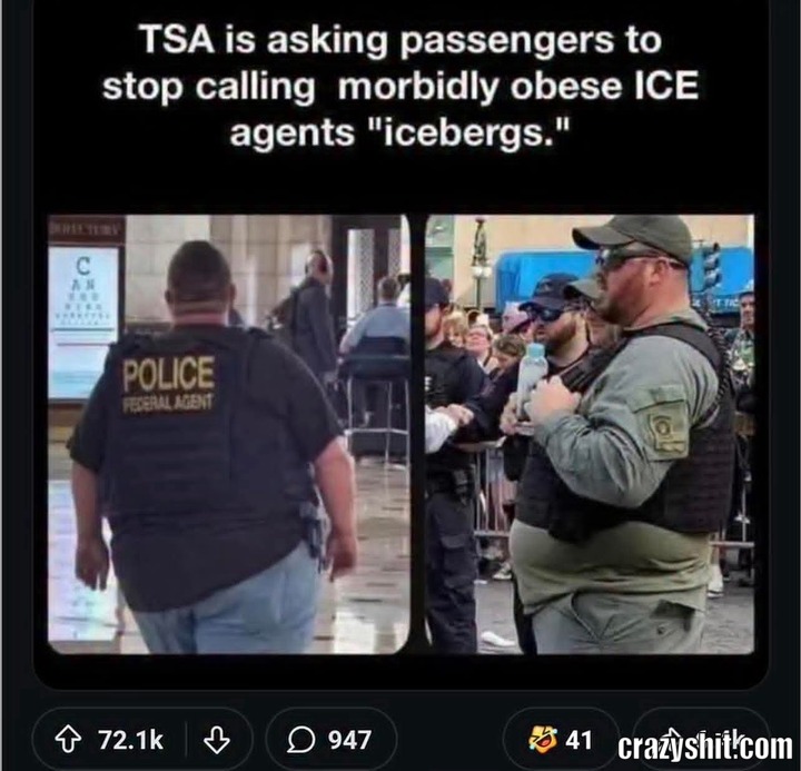 It Suits Them