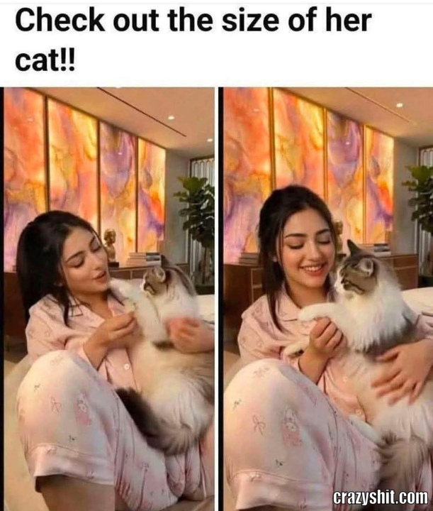 Look At The Size