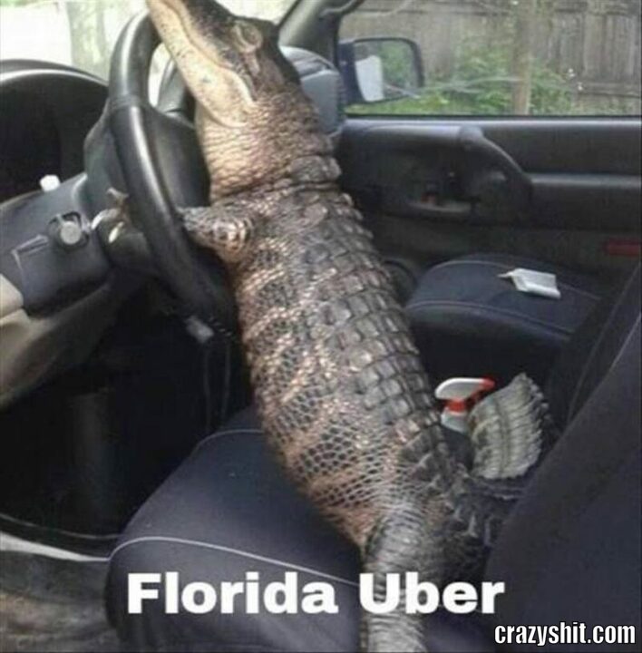 uber