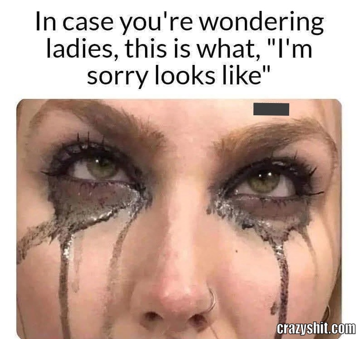 Apologies