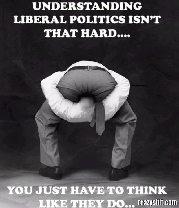 If you want to understand liberal "thinking" you have to do this.