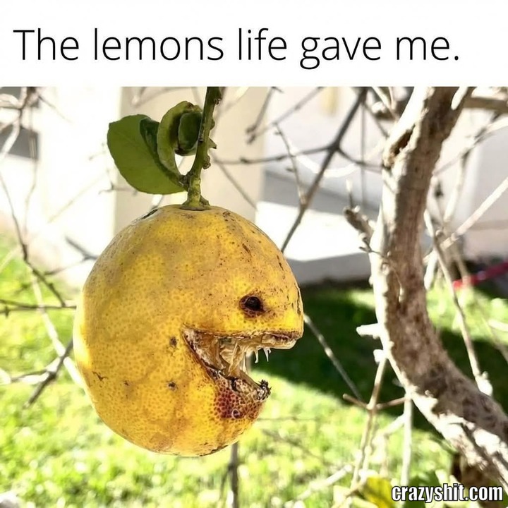 They Ain't Shit