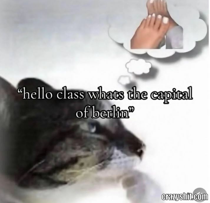 Teacher Is Confused