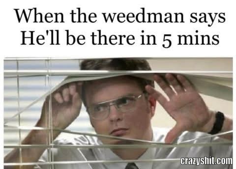 Where Is He