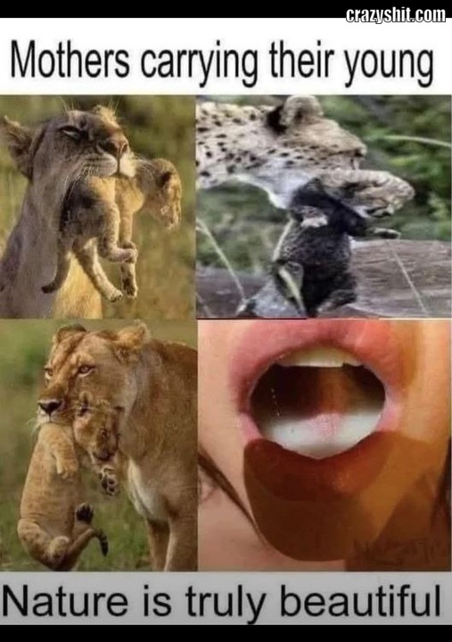 Nature Is Beautiful