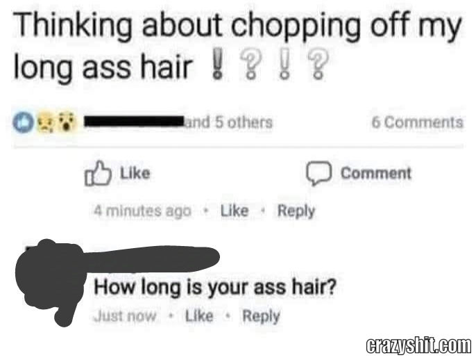 Very Long Hair