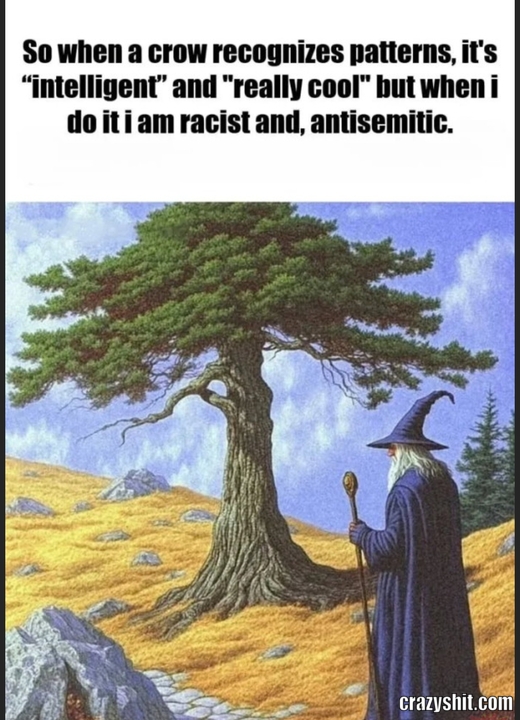 42e09422.jpg