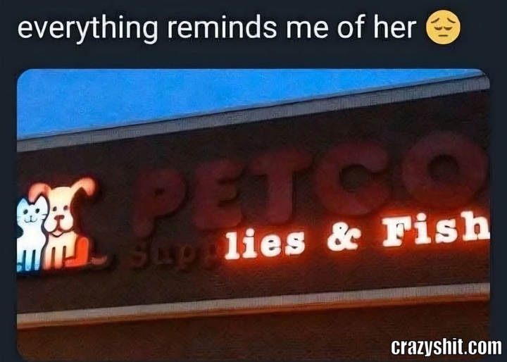 That Fucking Bitch