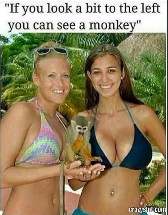 If You See Carefully