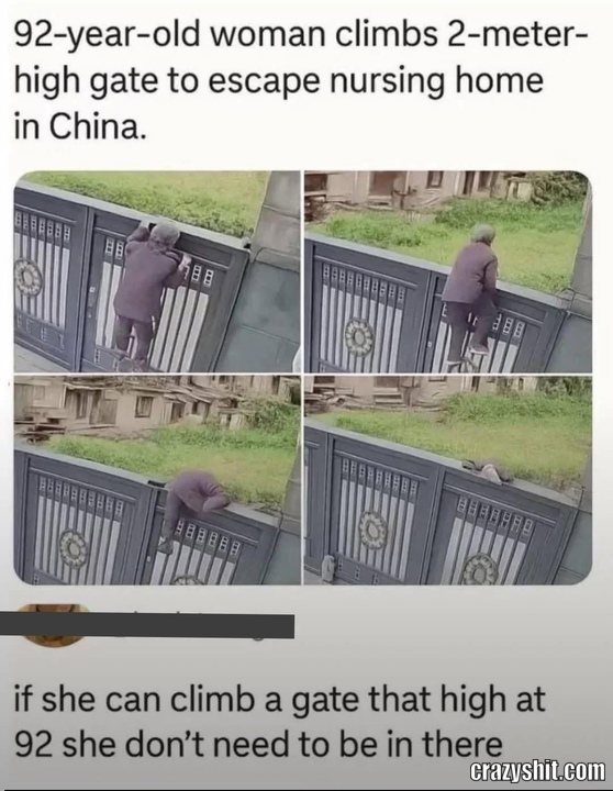 Go Go Grandma