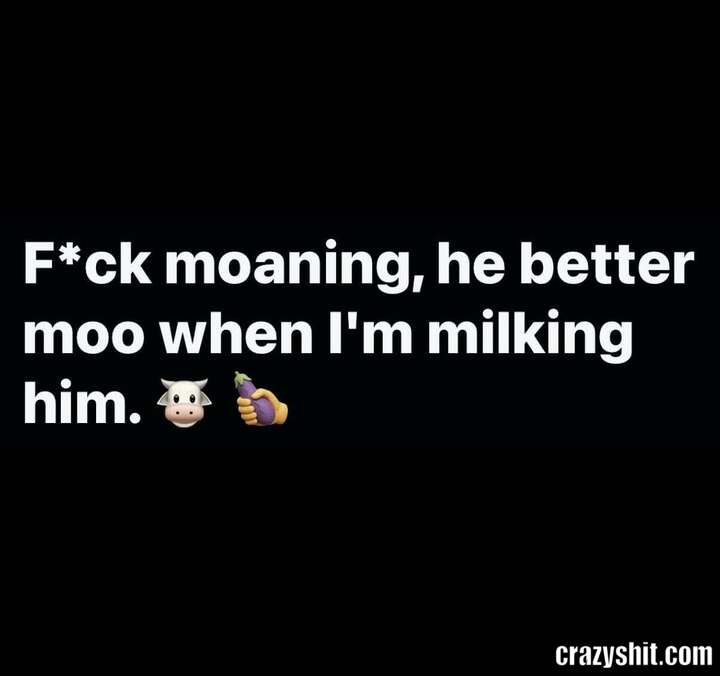 Start Mooing