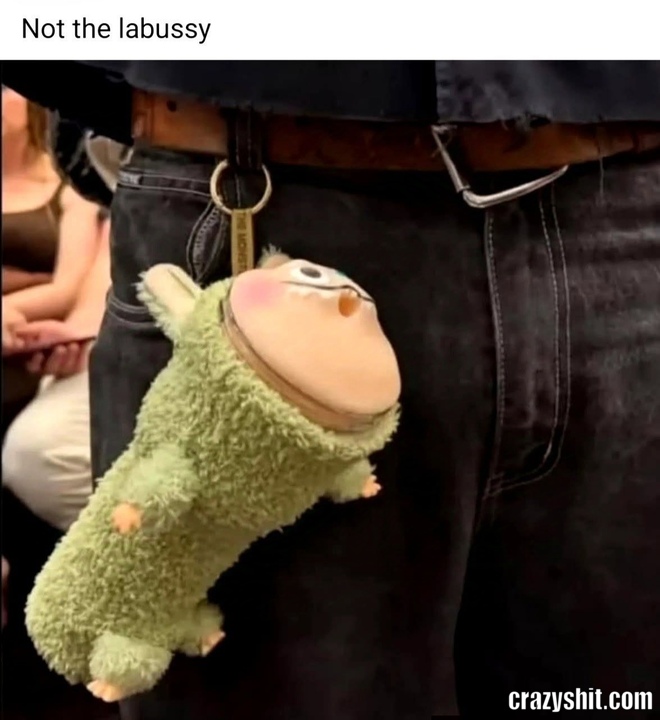 Fuck The Labussy