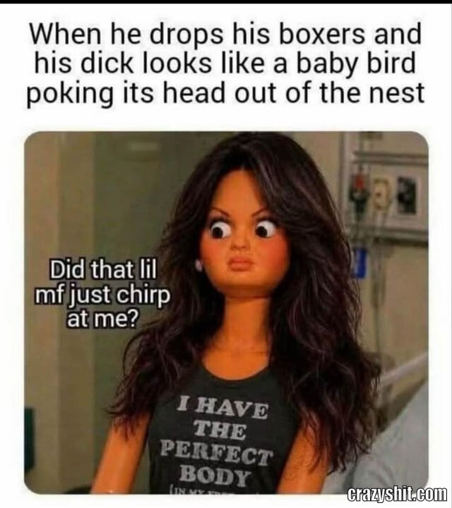 Boxers Baby Bird