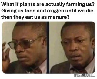 What If Plants Are Farming Us