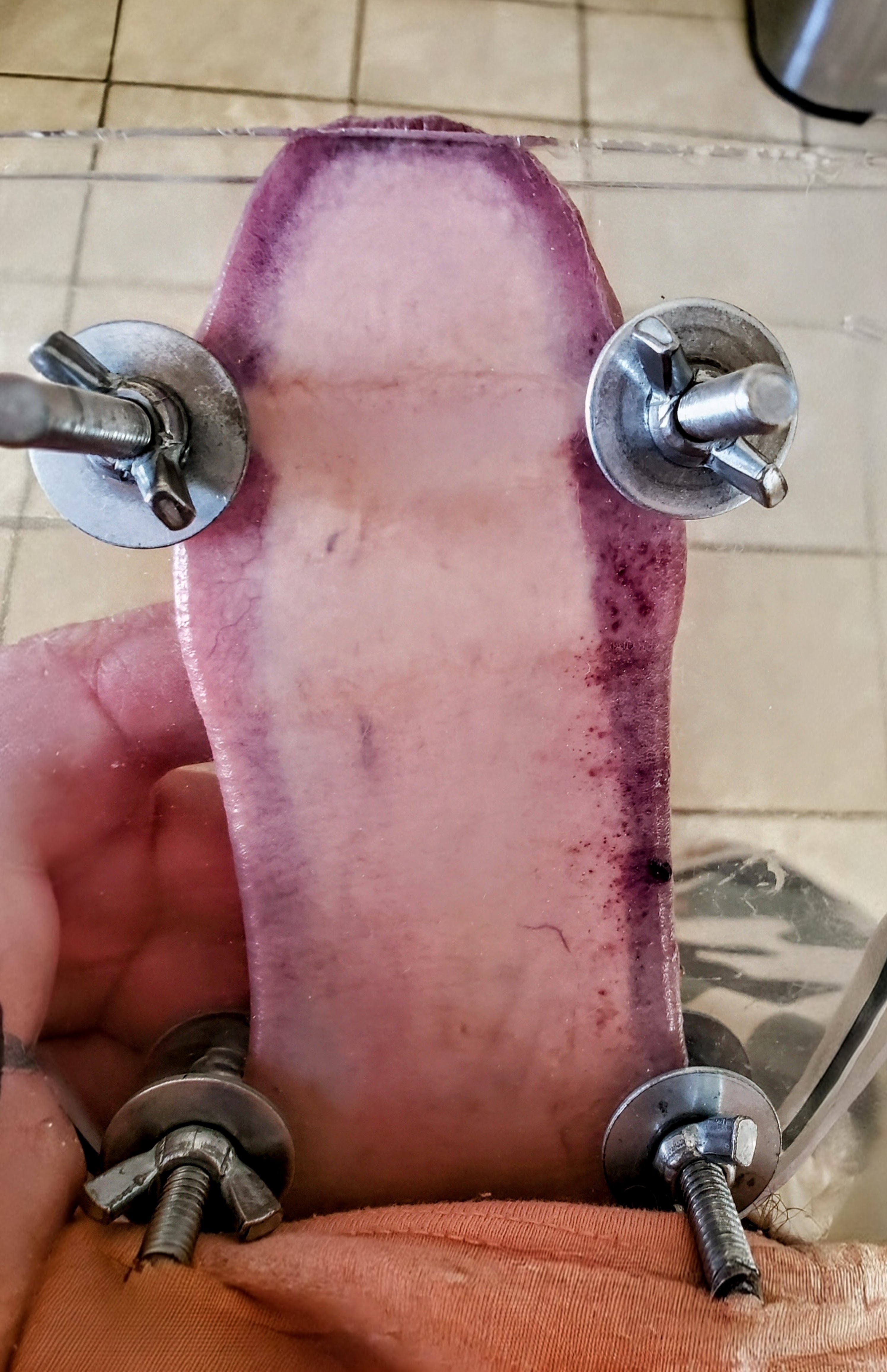 My first manogram was painful