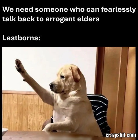 Lastborns Be Like
