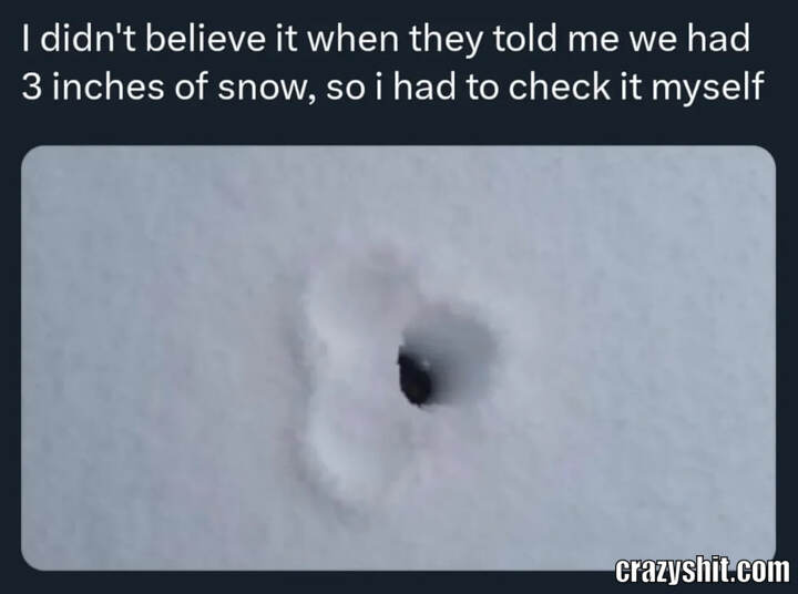 3 Inches of Snow