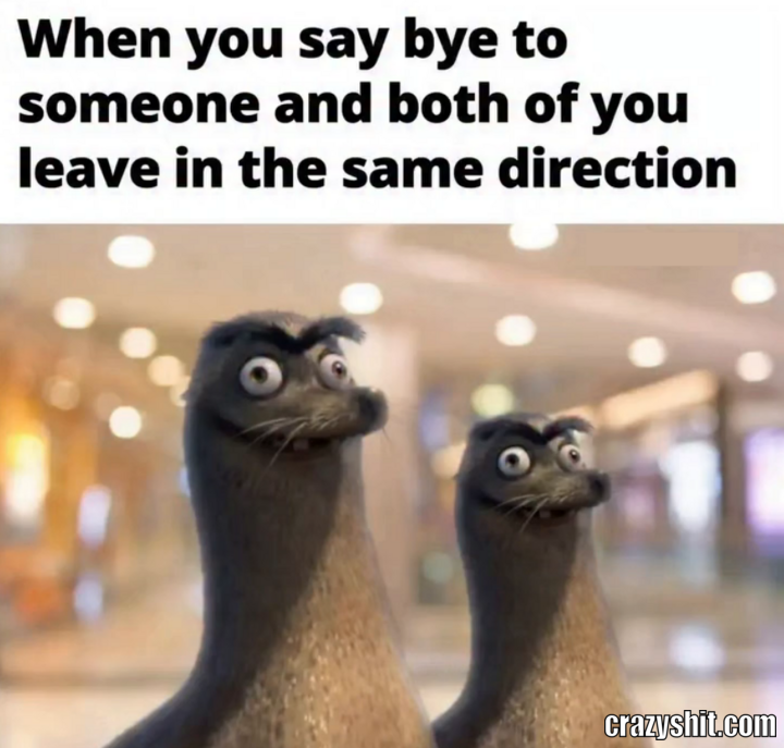 Both Of You Leave In The Same Direction