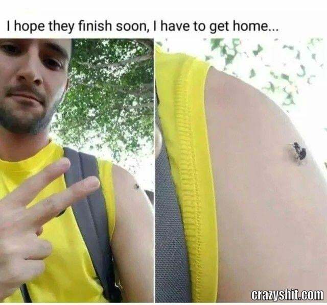 Nothing To See Here