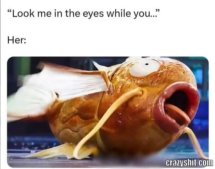 Blowjob Eye Contact