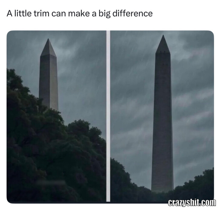 Trimmed Monument