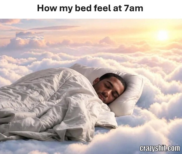 7am Bed