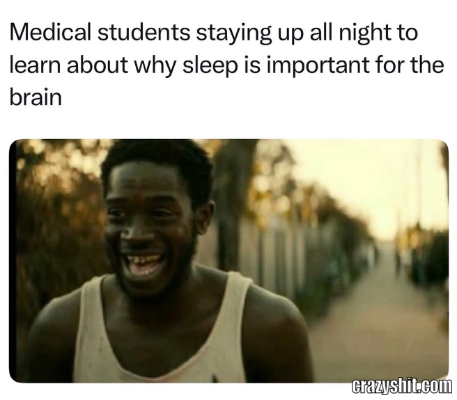 The Importance Of Sleep