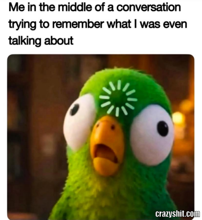 Mid Conversation Brain