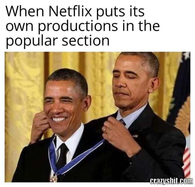 Netflix Owns You