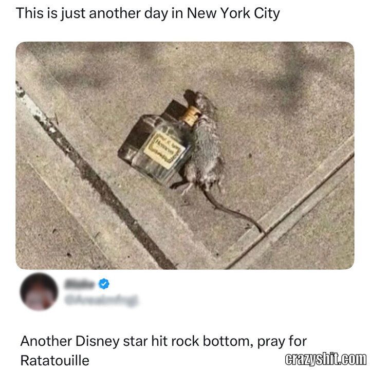 NYC Rat