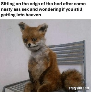 Post-Nasty Sex
