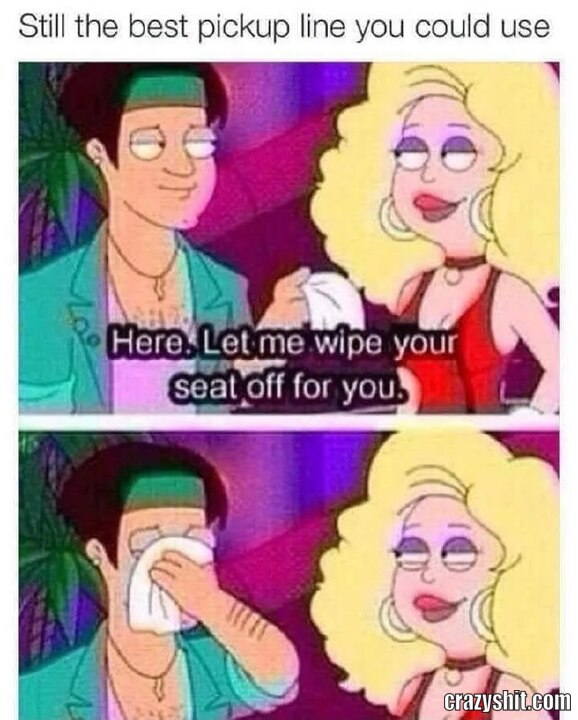 Seat Wipe