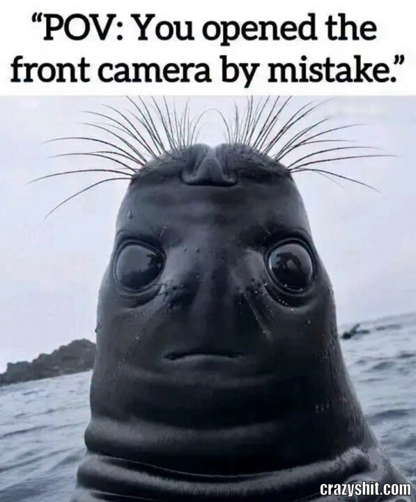 Front Cam POV