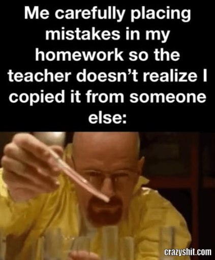 Homework Mistakes