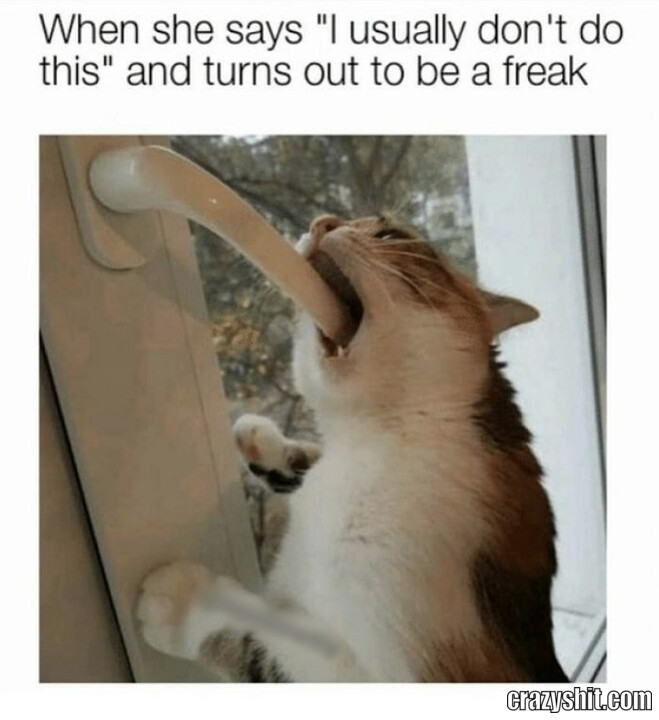 Freak In Disguise