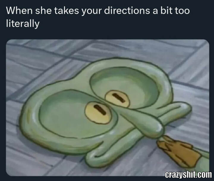 Took Directions Too Literal