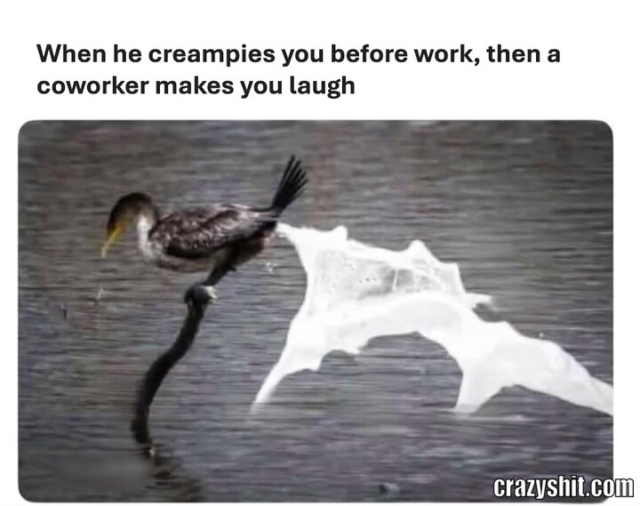 Creampie Laugh